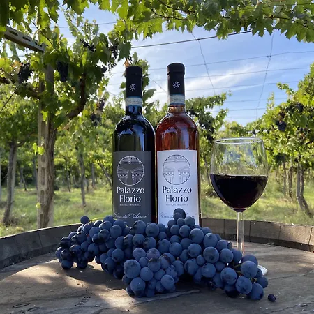 Palazzo Florio Boutique 4* Vasto