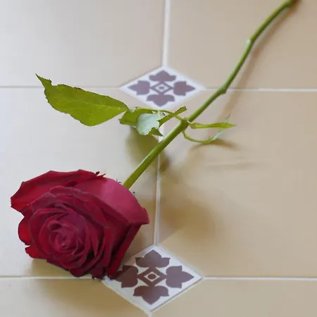 Palazzo Florio Boutique Nocleg ze śniadaniem 4*